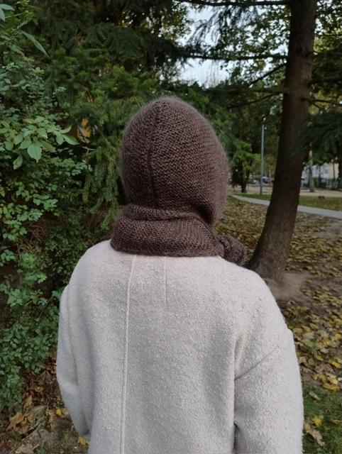 Kaptur brąz 2